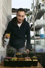 愿你也有一座花园6