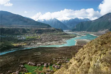 中国主要地形地貌区植物之旅
