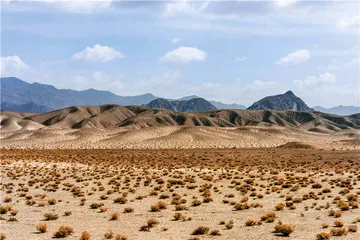 中国主要地形地貌区植物之旅1