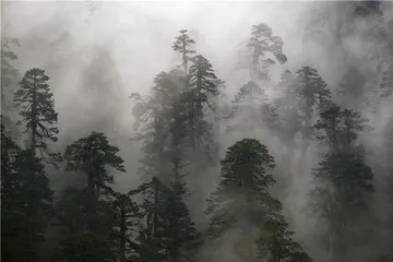 中国主要地形地貌区植物之旅3