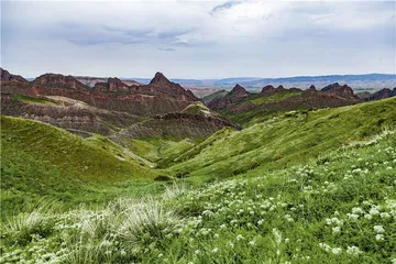 中国主要地形地貌区植物之旅4