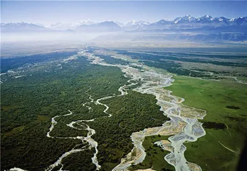 中国主要地形地貌区植物之旅5