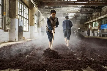 白酒股为什么被看好1