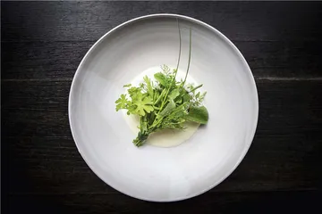 给盘子配道菜2
