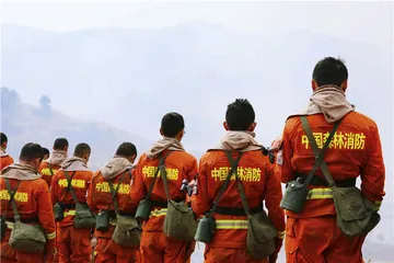 凉山大火：林业大县高悬的那把剑