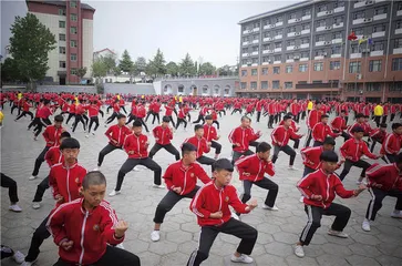 登封武校江湖1