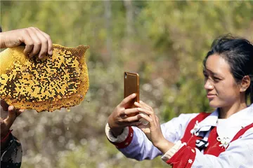 大山深处的“蜂蜜电商”