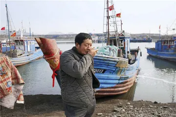 斑海豹，从海洋到水族馆的利益链2