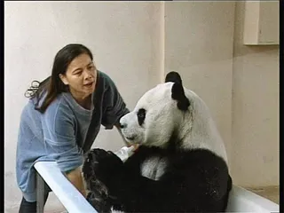 张以庆，一个记录者的故事1