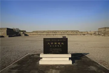 世界的唐5
