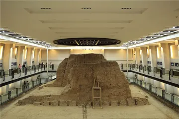 世界的唐8