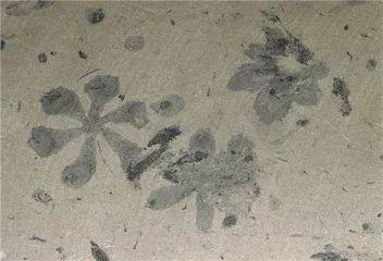 宇宙间最伟大的创造3
