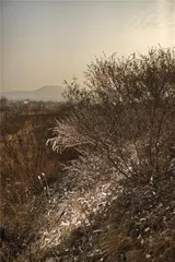 宋瓷之美：窑址上的风景5