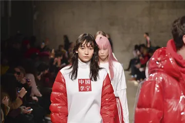 洪玉儒：“国潮”正当时1
