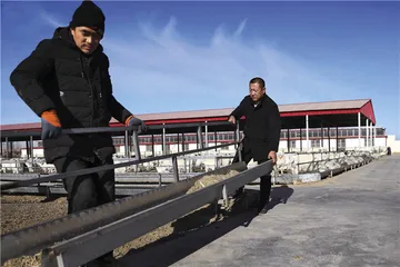 羊肉的价格2