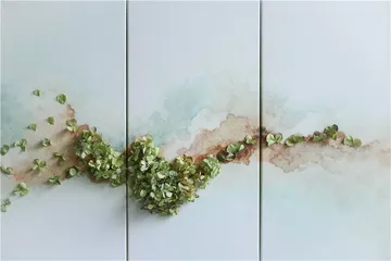 茹茹萍：向植物学习3
