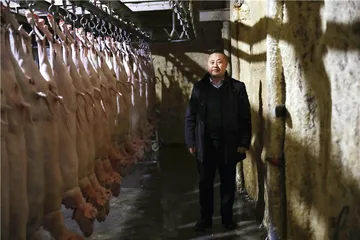 羊肉的价格3