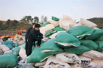 对“洋垃圾”说“不”后，废塑料产业何从？3