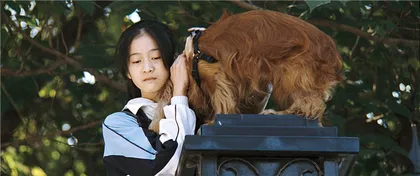 《狗十三》：被驯化的青春