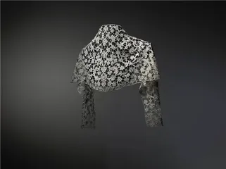 瑞士的蕾丝之都2