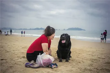 导盲犬珍妮退役：爱与放手