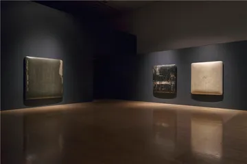 苏笑柏：出漆，入画0
