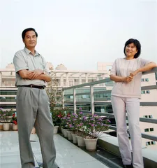 成为董小姐