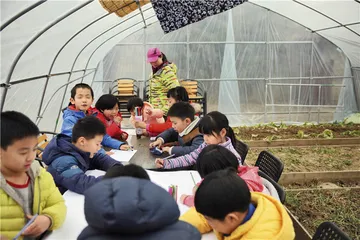 森林幼儿园：艰难落地生根1