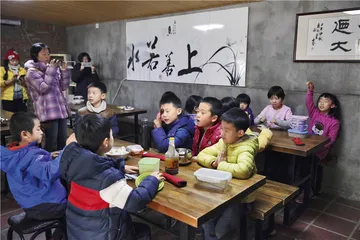 森林幼儿园：艰难落地生根2