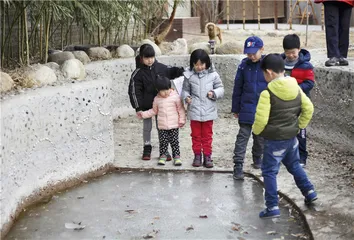 森林幼儿园：艰难落地生根5