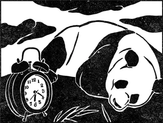 冬季起床出门指南