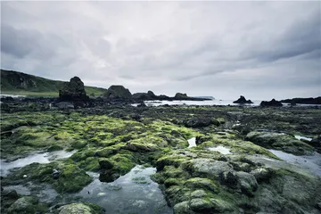 好消息·坏消息（1021）1