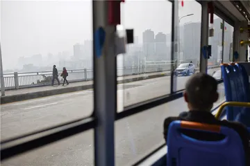 坠江背后的命运与怒火1