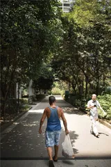 最后的棒棒5