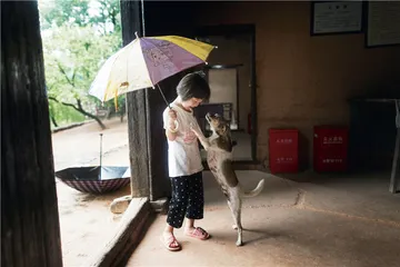 齐白石地理：乡居与远游
