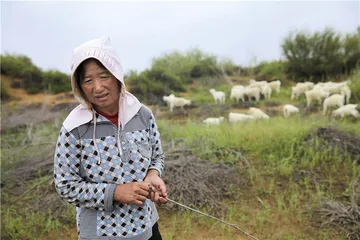 陕西榆林：小壕兔水污染调查