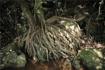 珠江口群岛：打开世界的另一扇门12