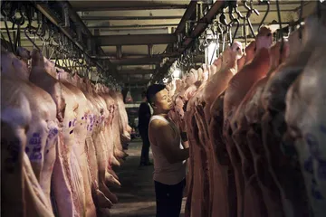 北京新发地：非洲猪瘟下的猪肉批发市场