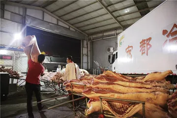 北京新发地：非洲猪瘟下的猪肉批发市场1