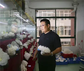 在涠洲岛保护珊瑚