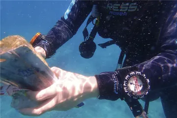 海南岛的两条生命线3
