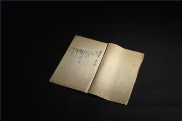 《尝试集》手稿重现