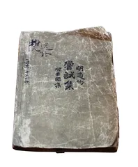 《尝试集》手稿重现3