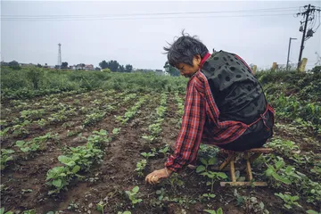 寻找夏朝11