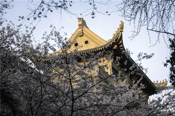 武汉：科教重镇的人才变局5