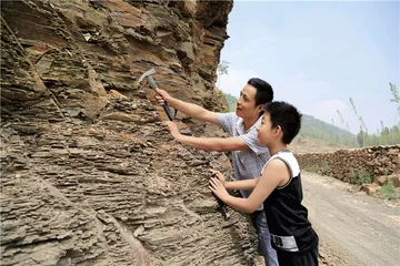 山东郯城恐龙足迹化石：被证实的“侏罗纪猜想”2
