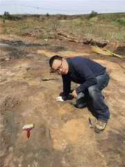 山东郯城恐龙足迹化石：被证实的“侏罗纪猜想”3