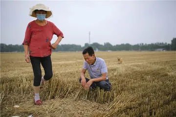 凤雅事件：一场对抗的求助和救助1