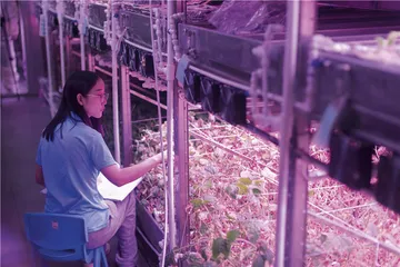 “月宫365”：人工生态系统破纪录