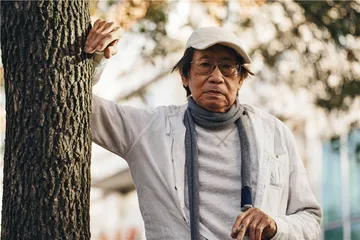 如果北京是棵树，历史是它的根